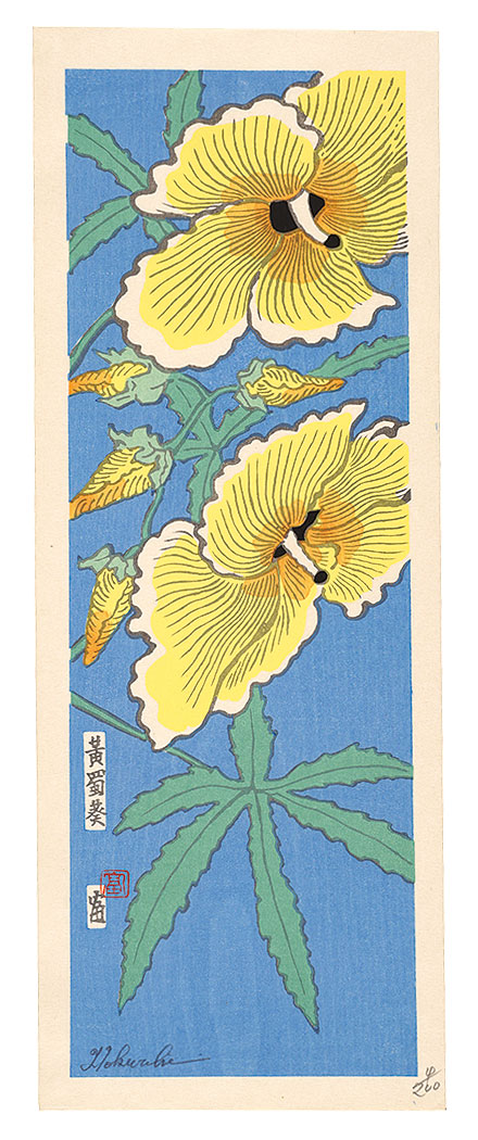 Tokuriki Tomikichiro “Abelmoschus manihot”