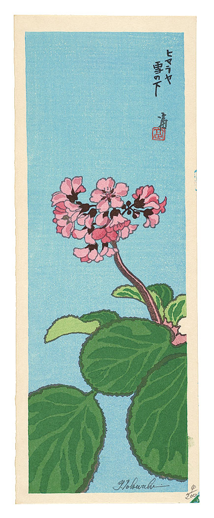 Tokuriki Tomikichiro “Bergenia stracheyi”