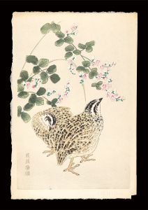 Kotozuka Eiichi / Quails and Bush Clover
