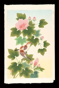 Ashikaga Shizuo / Cinnamon Sparrows