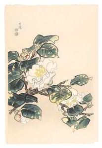 Kotozuka Eiichi / White Camellia