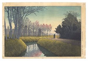埼玉田宮村