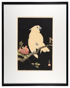 Ohara Koson(Shoson) / Cockatoo on Pomegranate Branch