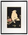 Cockatoo on Pomegranate Branch