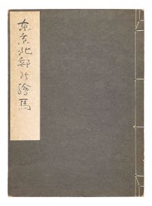 Miyao Shigeo / Votive Pictures of Northern Japan