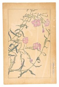 杉浦非水「撫子」