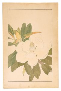 杉浦非水「大山木」