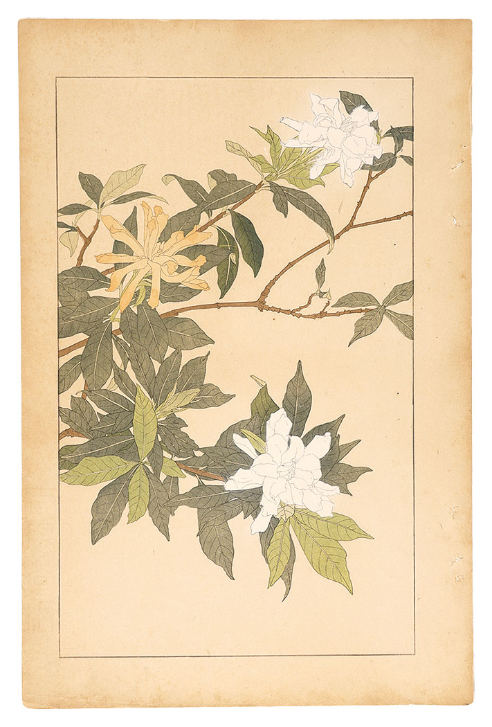 杉浦非水「小梔子」