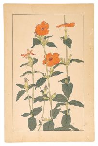 杉浦非水「剪夏羅」