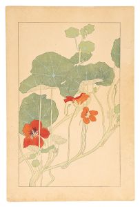 杉浦非水「凌霄葉蓮」