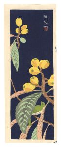 Tokuriki Tomikichiro / Loquat