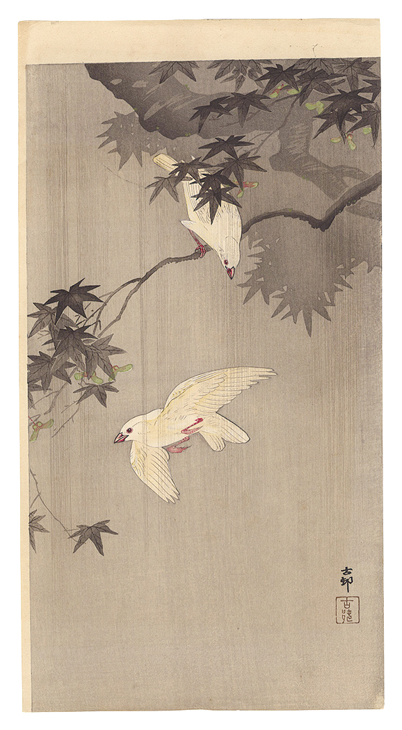 小原古邨（祥邨）「雨中の青楓に文鳥」