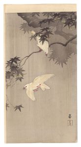 Ohara Koson(Shoson) / Java Sparrows with Green Maple in Rain