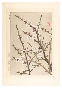 河原崎奨堂「日本の花こよみ　ウメ（梅）」
