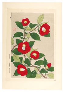 河原崎奨堂「日本の花こよみ　ツバキ（椿）」