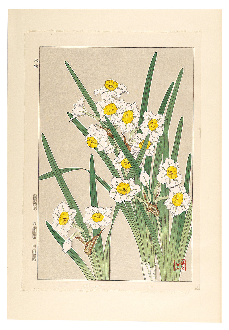 河原崎奨堂「日本の花こよみ　スイセン（水仙）」