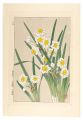 Floral Calendar of Japan / Nar......