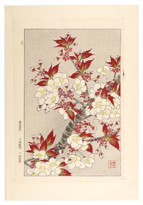 Kawarazaki Shodo / Floral Calendar of Japan / Cherry Blossom