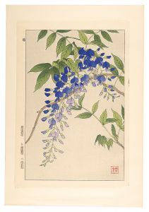 河原崎奨堂「日本の花こよみ　フジ（藤）」