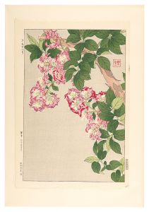 河原崎奨堂「日本の花こよみ　サルスベリ（百日紅）」