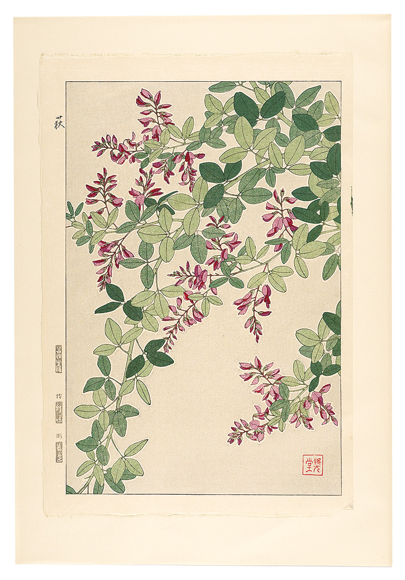 河原崎奨堂「日本の花こよみ　ハギ（萩）」