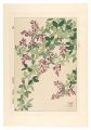 Floral Calendar of Japan / Bus......