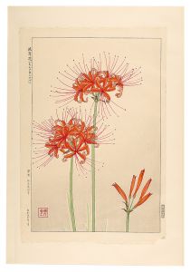 河原崎奨堂「日本の花こよみ　ヒガンバナ（彼岸花）」