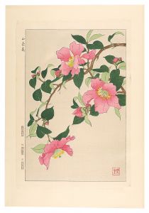 河原崎奨堂「日本の花こよみ　サザンカ（山茶花）」