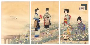 美人十二ヶ月　其六 菖蒲