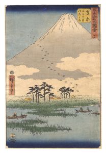 Hiroshige I / Famous Sights of the Fifty-three Stations / No. 15, Yoshiwara: Floating Islands in Fuji Marsh [五十三次名所図会　十五　吉原 不二の沼浮島か原]