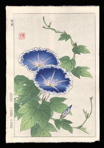 河原崎奨堂「朝顔」