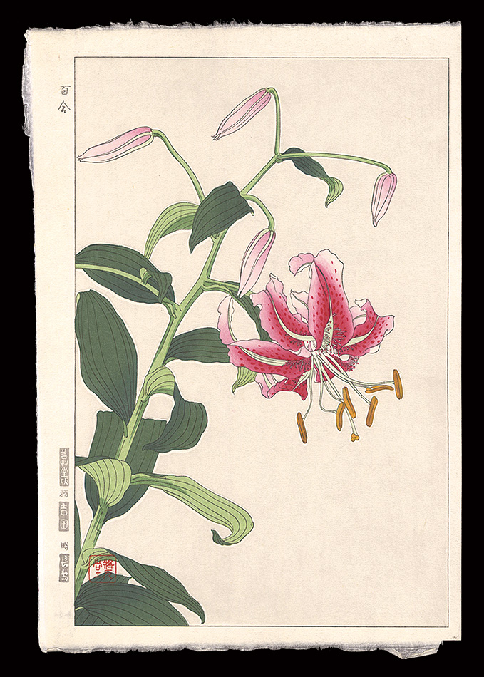 河原崎奨堂「百合」