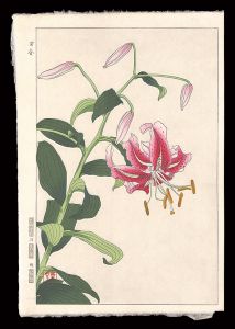 河原崎奨堂「百合」