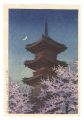 Spring Evening at the Toshogu ......
