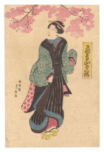 貞房「飛鳥山夕桜」
