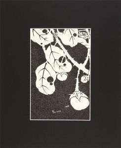 若冲「玄圃瑤華　茄子【復刻版】」