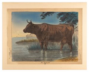 Yabusaki Yoshiiro / Twelve Zodiacal Animals / Ox (Ushi) [十二支ノ内　丑]