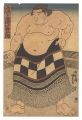Sumo Wrestler Hironoumi Tomigo......