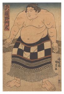 Kunisada I / Sumo Wrestler Musashino Monta [武蔵野門太]