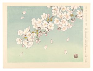 Okawara Noriko / Spring in Full Bloom