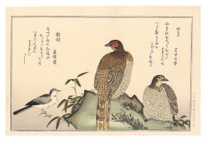 歌麿「百千鳥狂歌合　山鳥 鶺鴒【復刻版】」