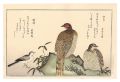 Myriad Birds: A Kyoka Competit......