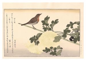 歌麿「百千鳥狂歌合　四十雀 こまどり【復刻版】」