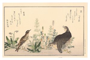 歌麿「百千鳥狂歌合　鶉 雲雀【復刻版】」