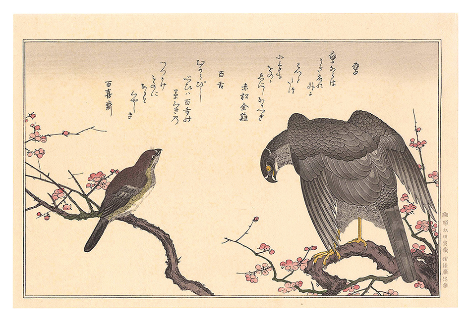 歌麿「百千鳥狂歌合　鷹 百舌【復刻版】」