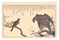 Myriad Birds: A Kyoka Competit......