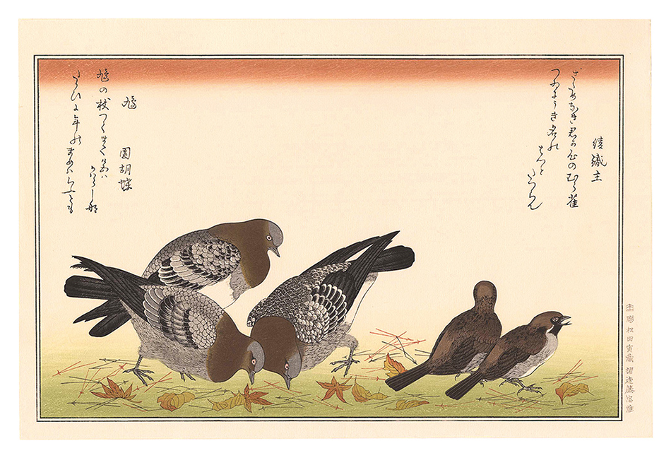 歌麿「百千鳥狂歌合　むら雀 鳩【復刻版】」