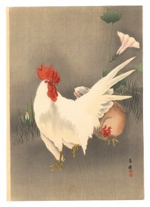 Morita Kako / Chickens (tentative title)