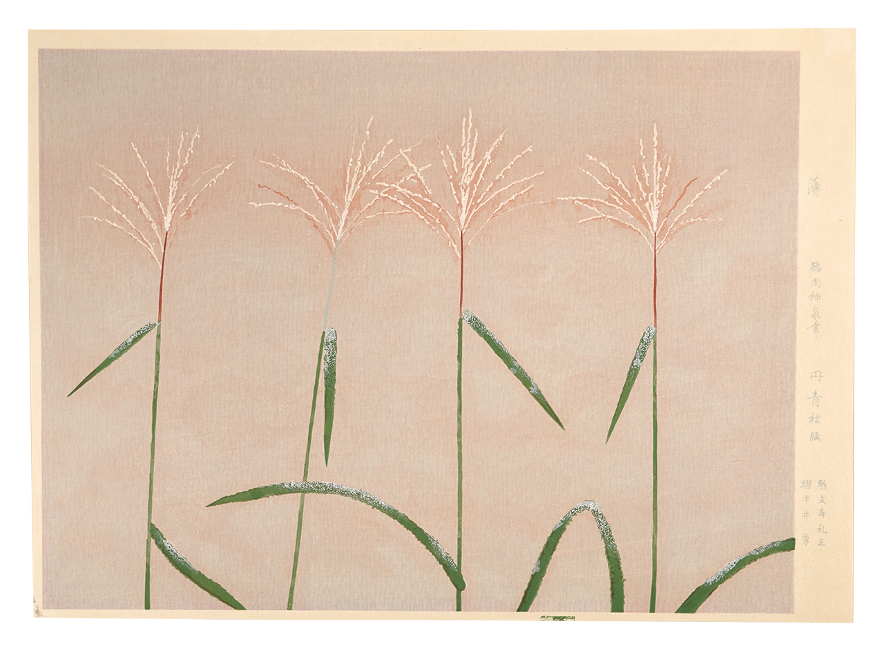 Tokuoka Shinsen “silver grass”