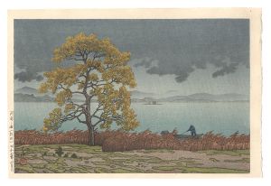 湖畔の雨（松江）